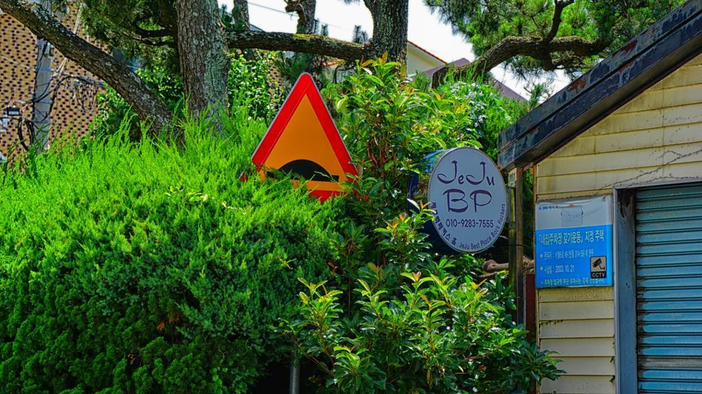 Jeju B.P. Guesthouse Exteriér fotografie